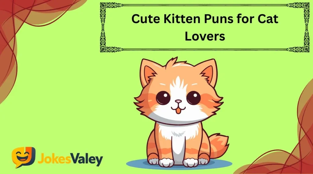 Cute Kitten Puns for Cat Lovers