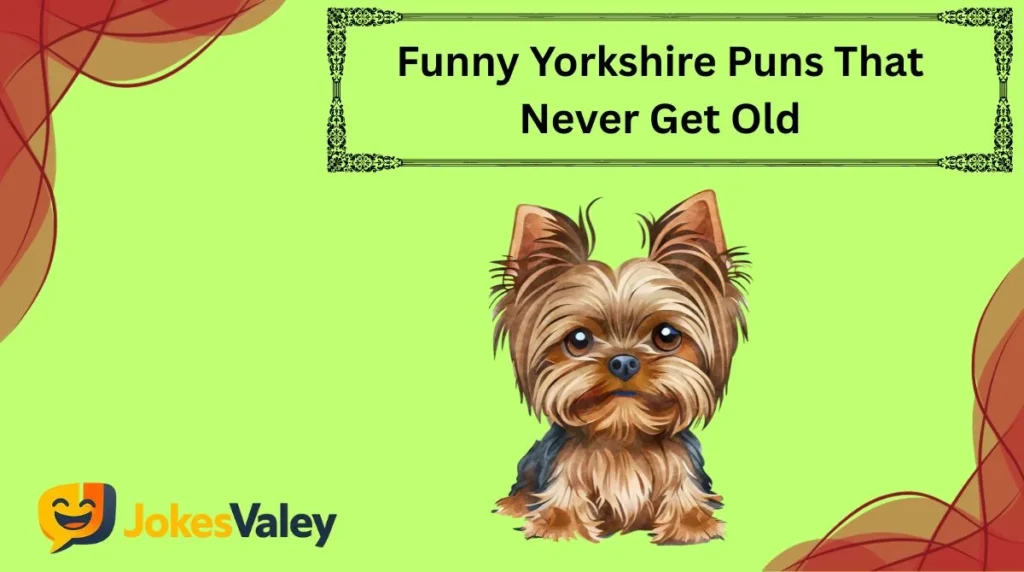 Funny Yorkshire Puns That Never Get Old
