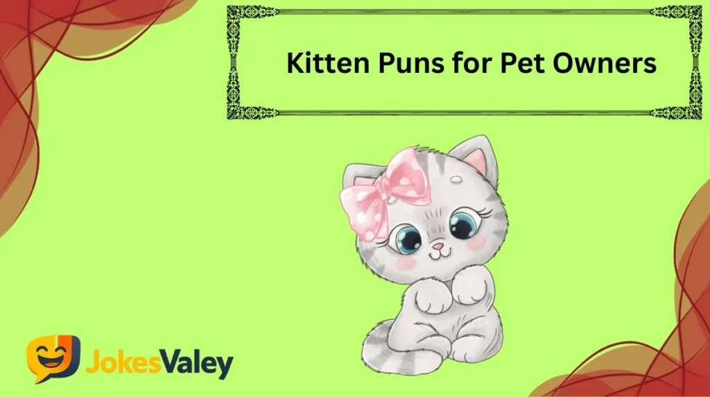 Kitten Puns for Pet Owners